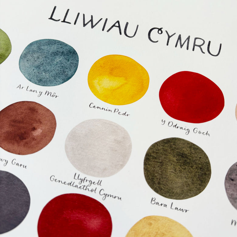 The colours of Wales illustrated print - A3