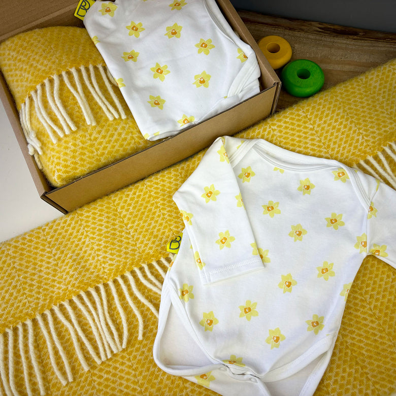 Baby blanket & bodysuit gift set