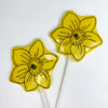 Daffodil rock lolly