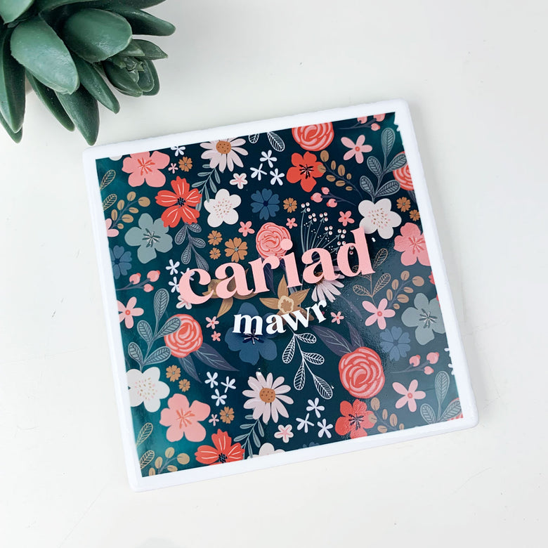 Cariad mawr coaster