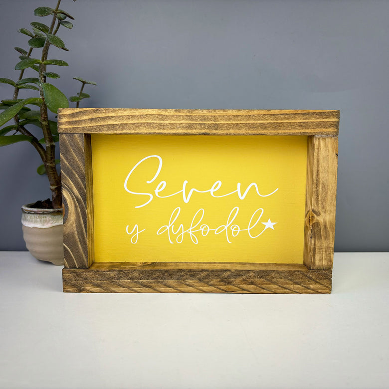 Seren y dyfodol frame