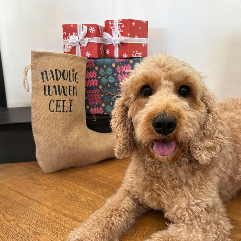 Personalised Christmas stocking for pets