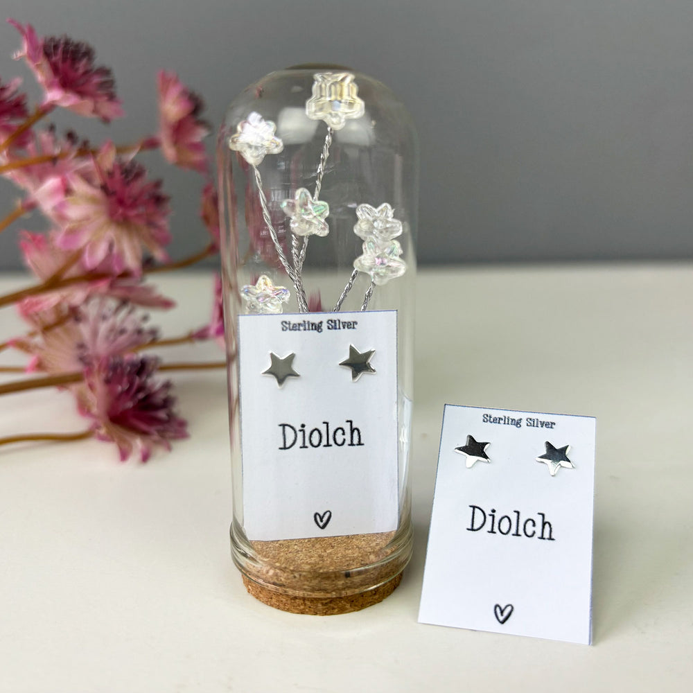 Diolch star stud earrings