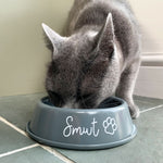 Grey cat eating from a cat food bowl featuring her name