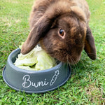 Brown rabbit eating from a food bowl featuring her name Bwni