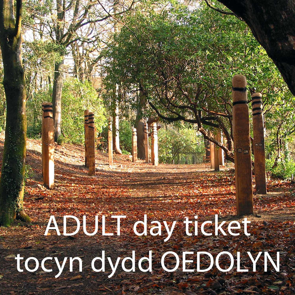 Adult day ticket