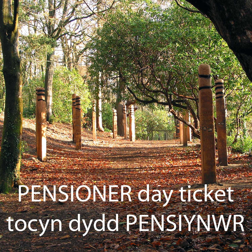 Pensioner day ticket